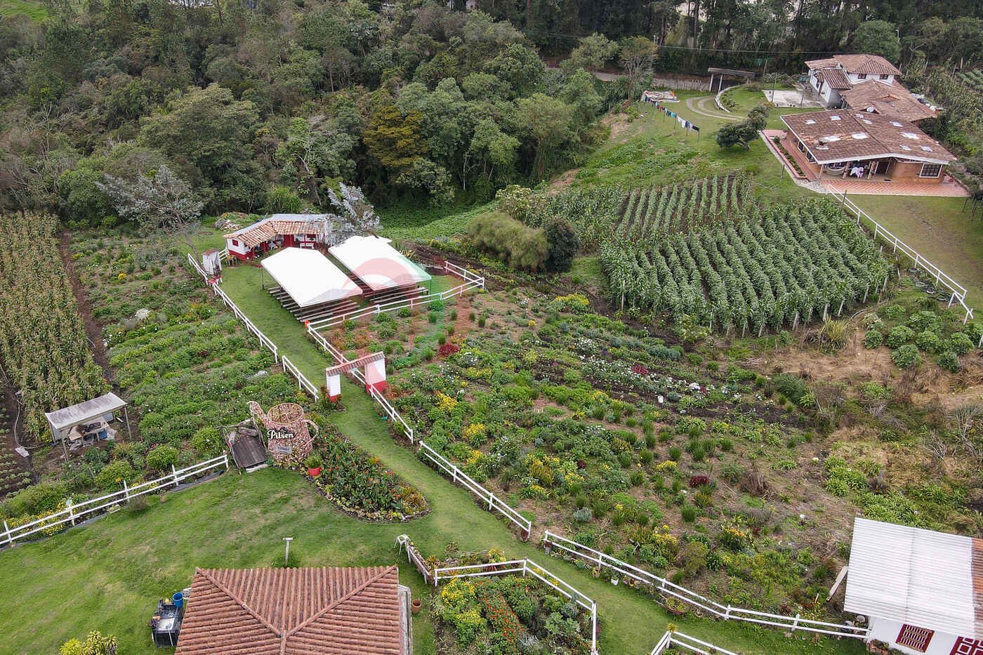 Turismo en Medellín